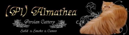 Almathea Persian Cattery