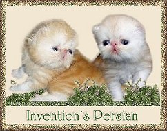 Invention's Persians