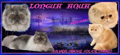 Logua Aqau Persans