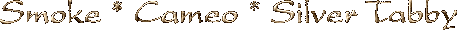 Smoke * Shaded * Cameo