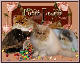 Tutti Frutti Chatterie